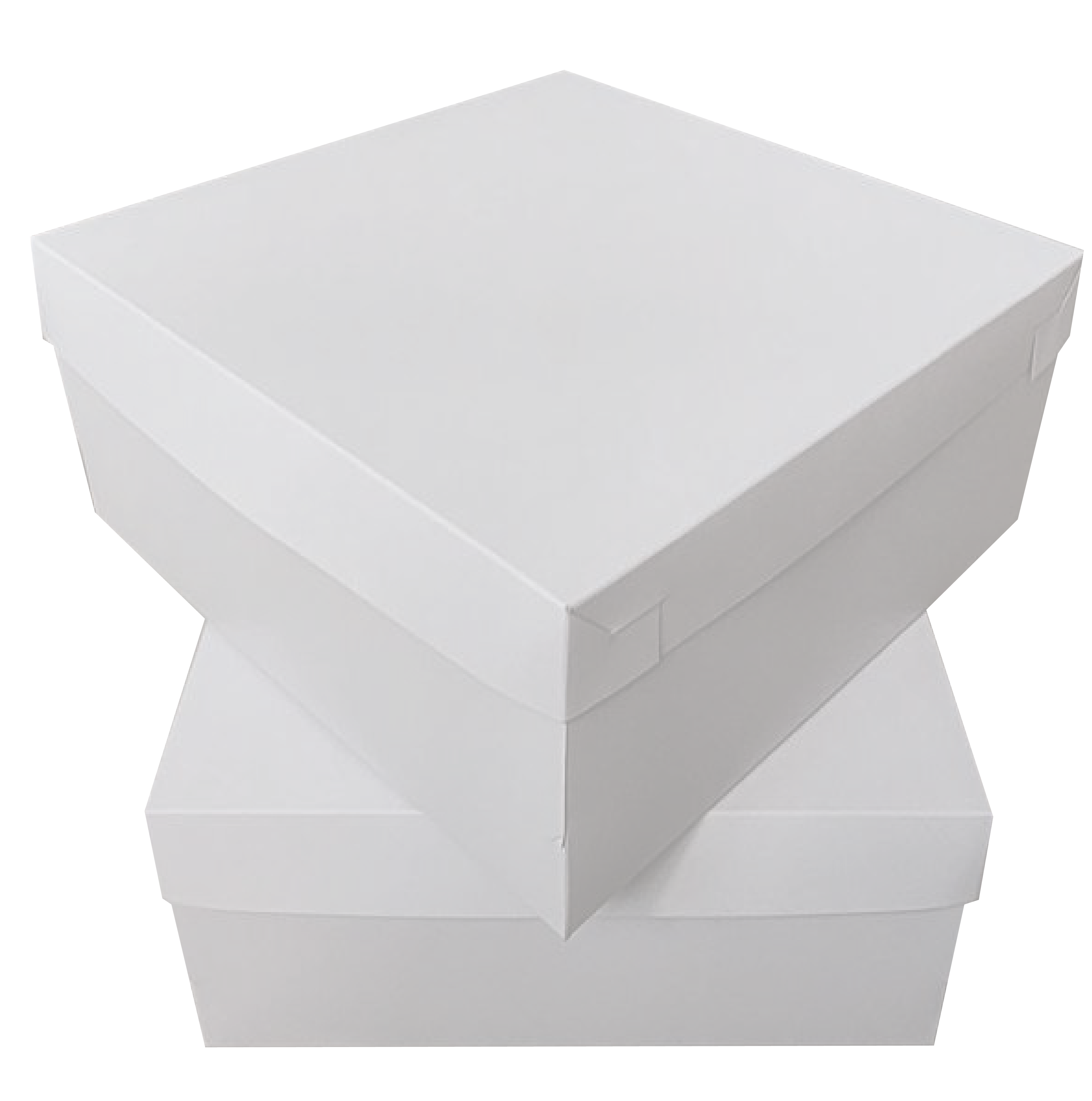 Genesee Scientific 21-141, 3-inch Cardboard Box with Lid, White 25-Place  Divider, 1 Box/Unit - 21-141